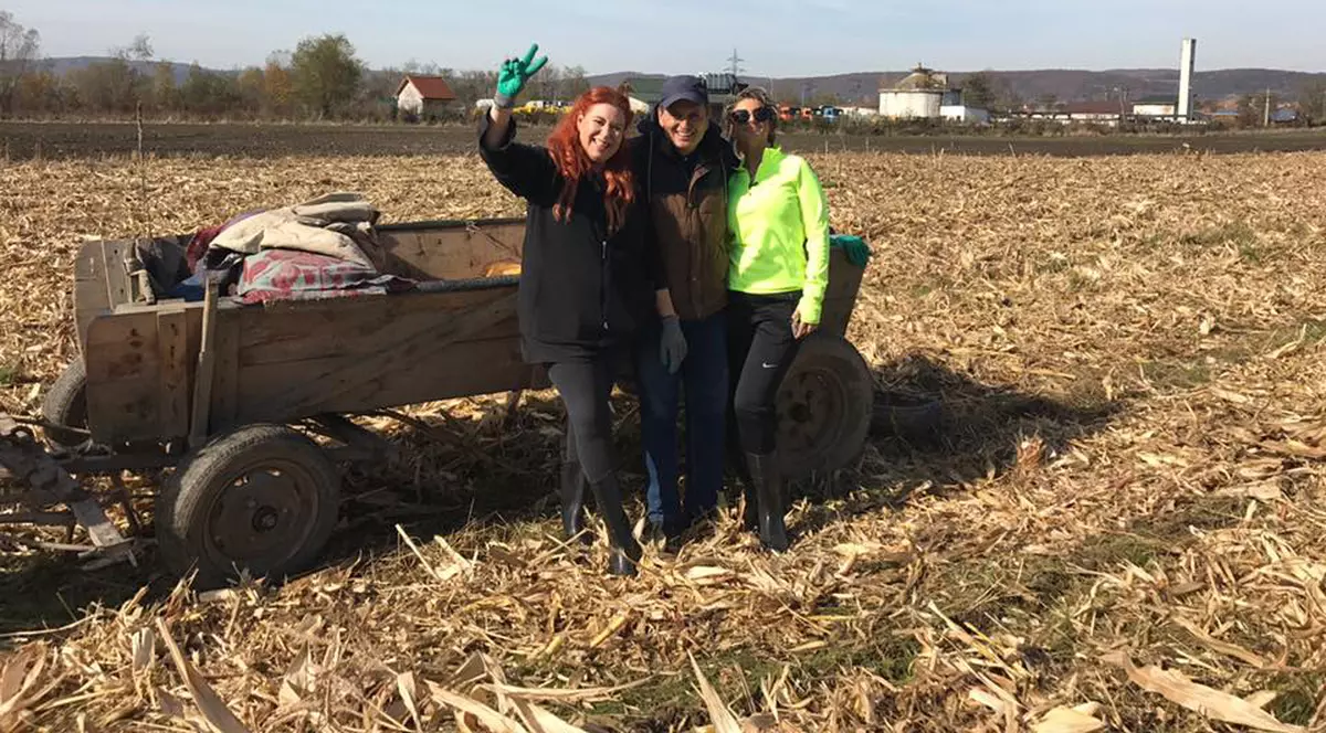 Ana Maria Prodan trage din greu la ”Poftiți la muncă!”