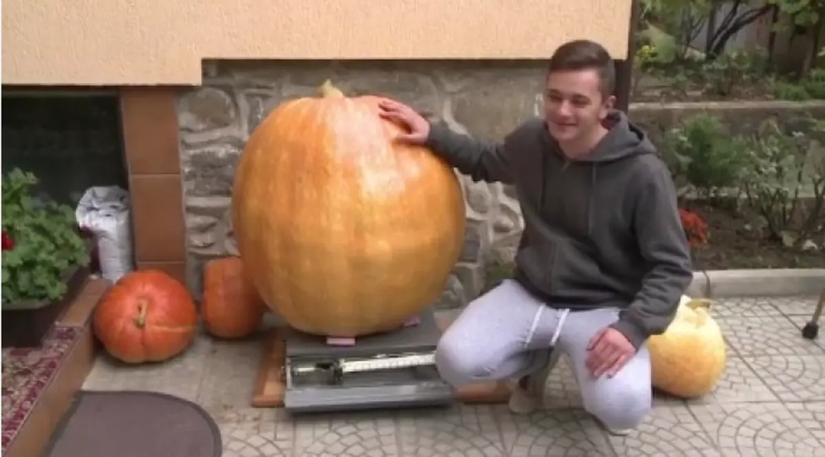 Un dovleac gigant a crescut în Sibiu. Uriașul din grădină are peste 100 de kilograme