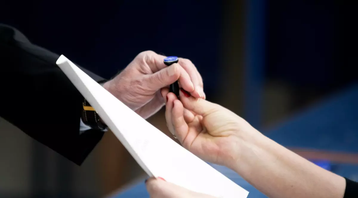 presa internationala alegeri