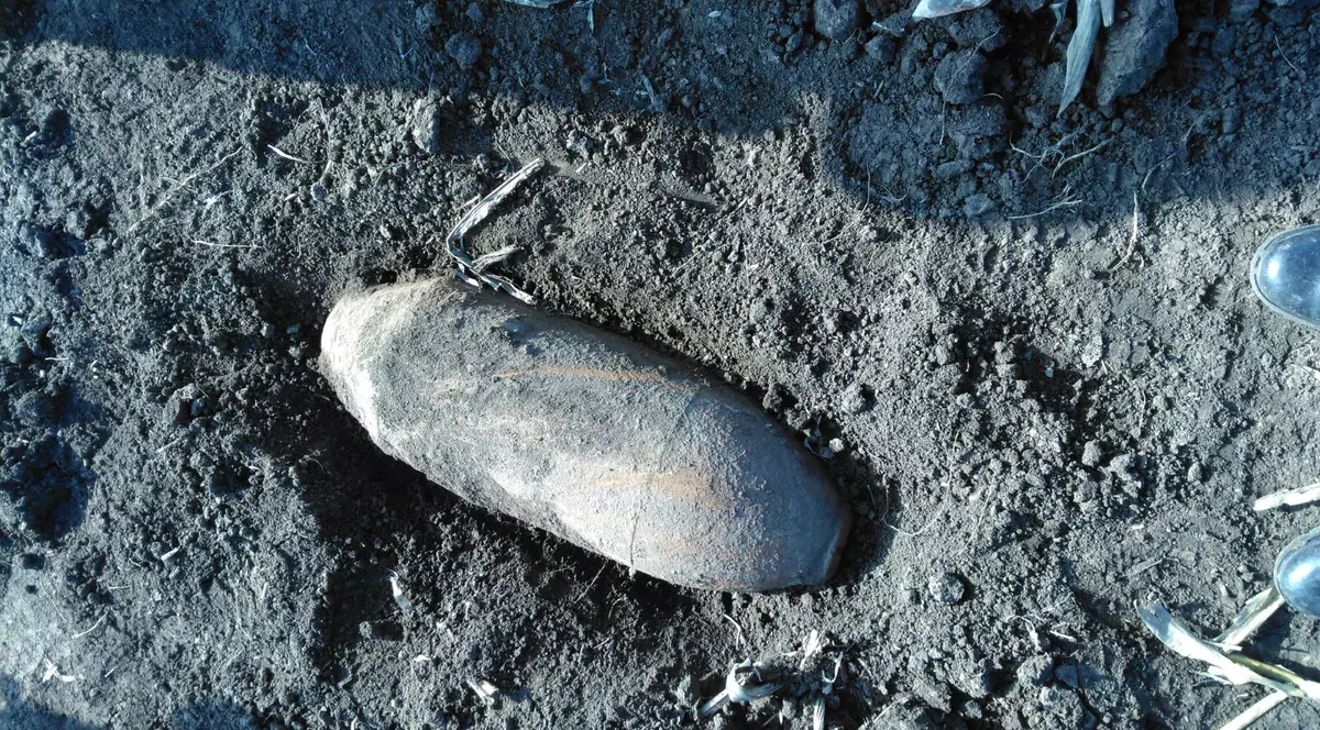 Un polițist din Dolj a încercat să vândă o bombă pe Internet