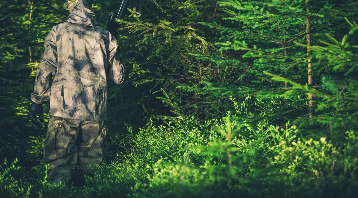 pază gratuită pentru păduri