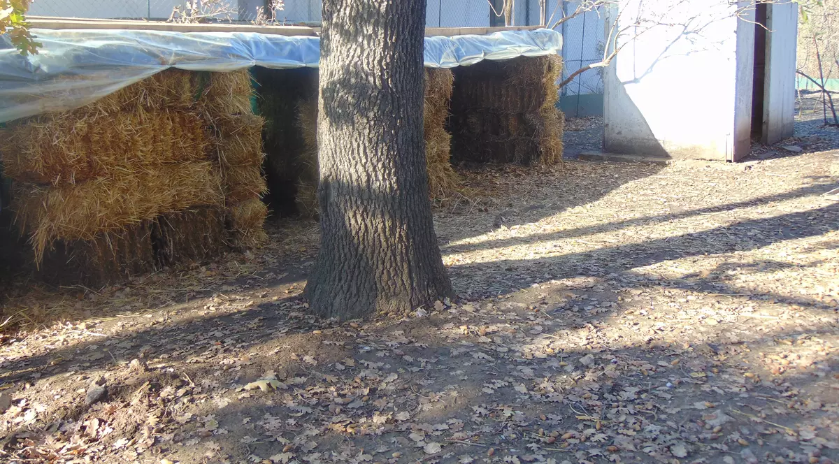 Animalele de la ZOO Galați se pregătesc de iarnă! GALERIE FOTO