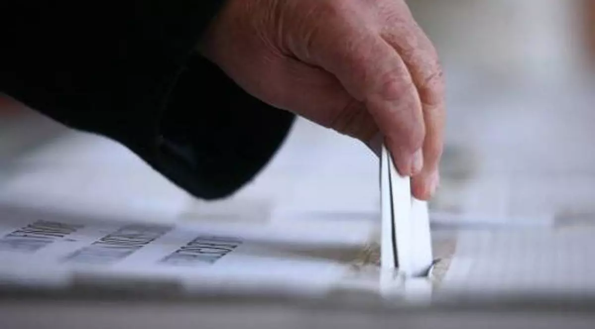 Alegeri parlamentare 2016, vot