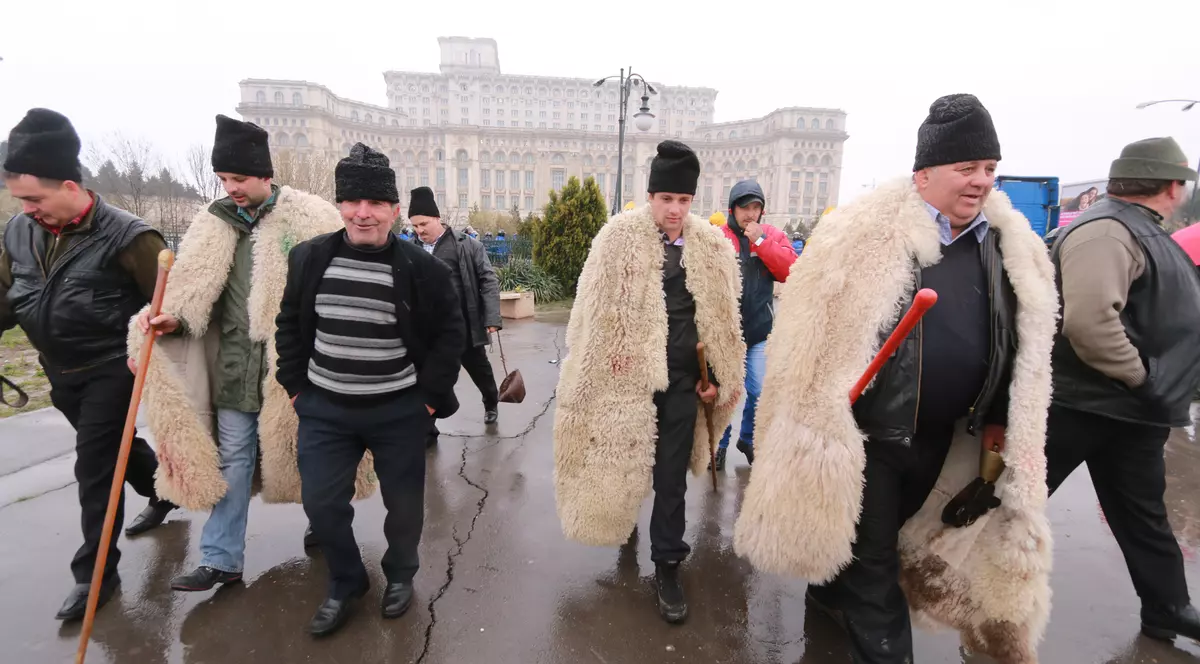 Ciobanii, obligaţi să-şi ia oile de pe păşuni, începând cu 6 decembrie!