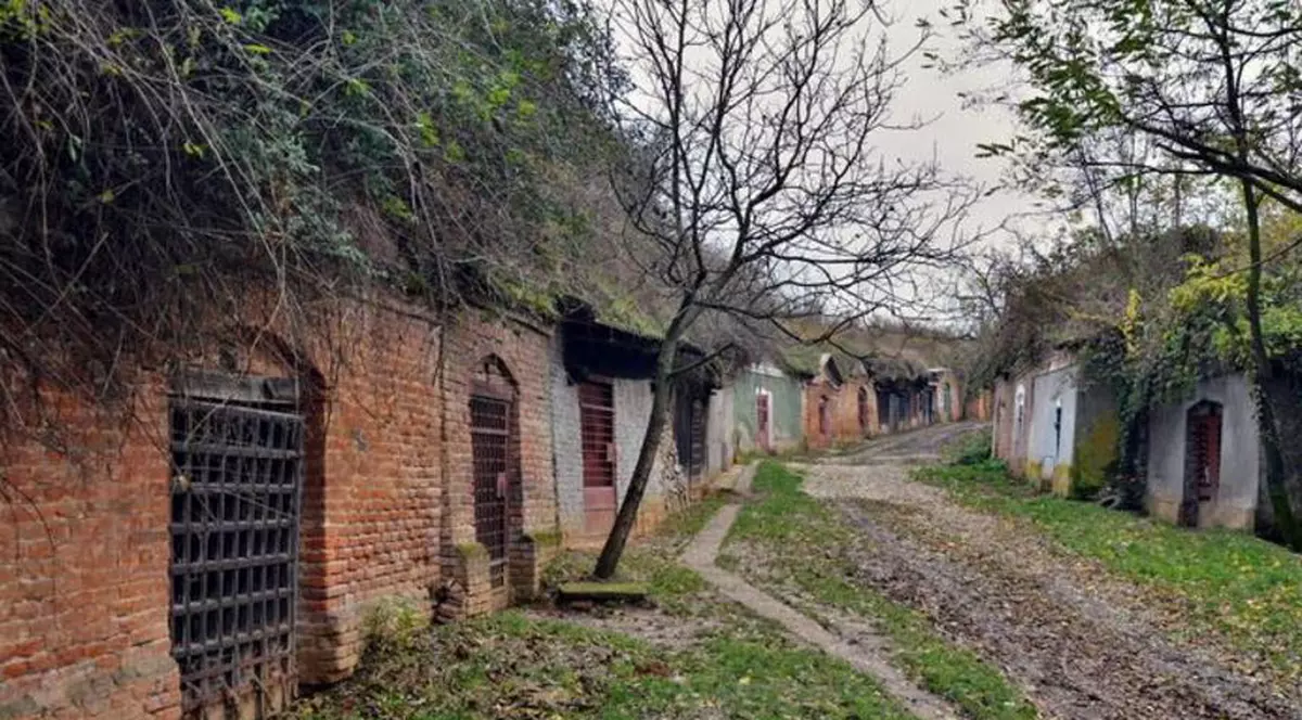 Satul cu o mie de pivnițe se află Bihor. Sunt mai multe beciuri decât case