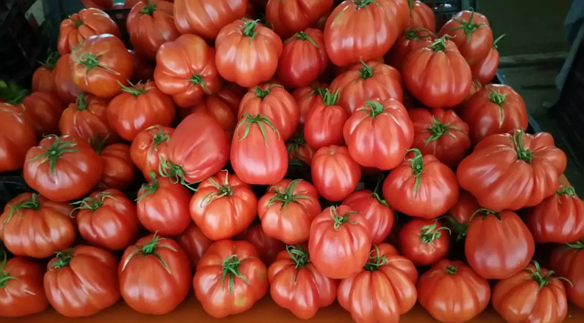 Cum se vând roșiile din import