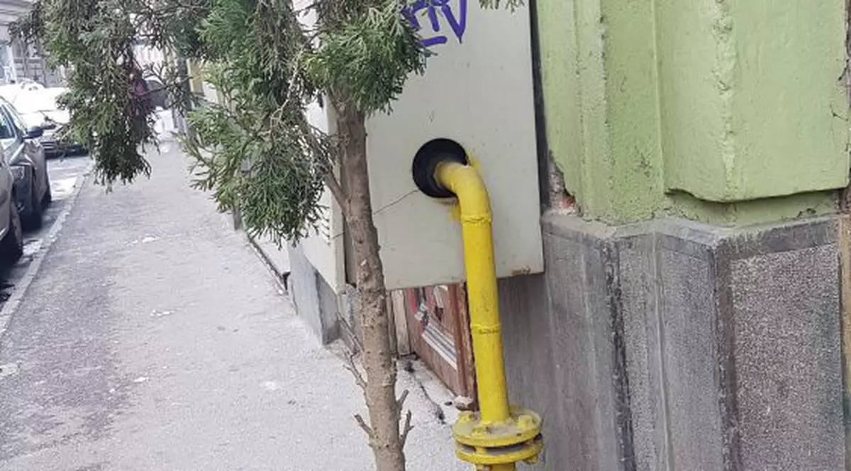 A legat brazii cu lanțuri pentru a nu mai fi furați, în Arad. Hoțul, suprins în acțiune de camerele de supraveghere