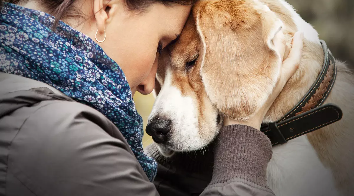 Cîinii pot fi ținuți în bloc