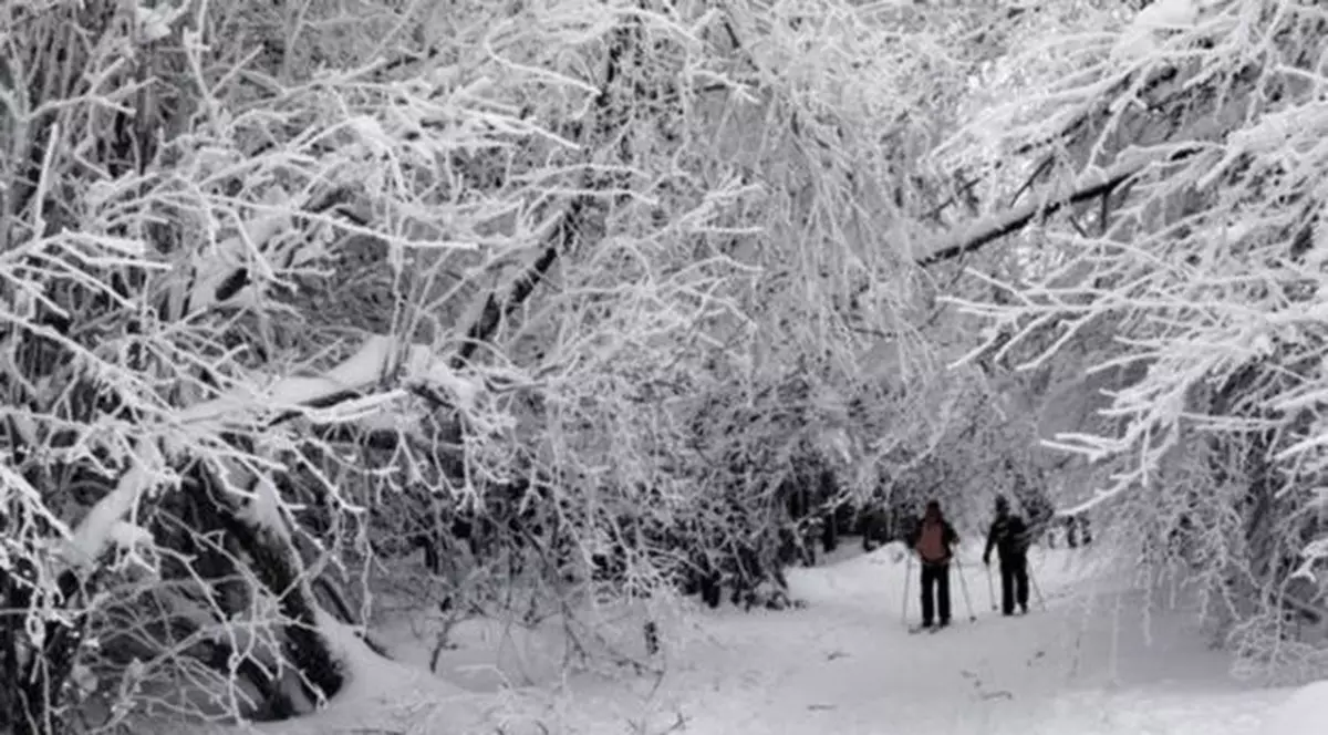 Prognoza meteo pentru weekend-ul 26-28 ianuarie