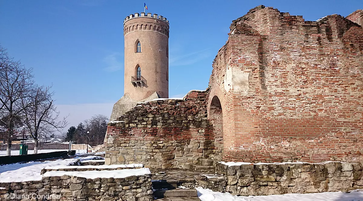 Rezultatele alegerilor parlamentare 2016 în județul Dâmbovița