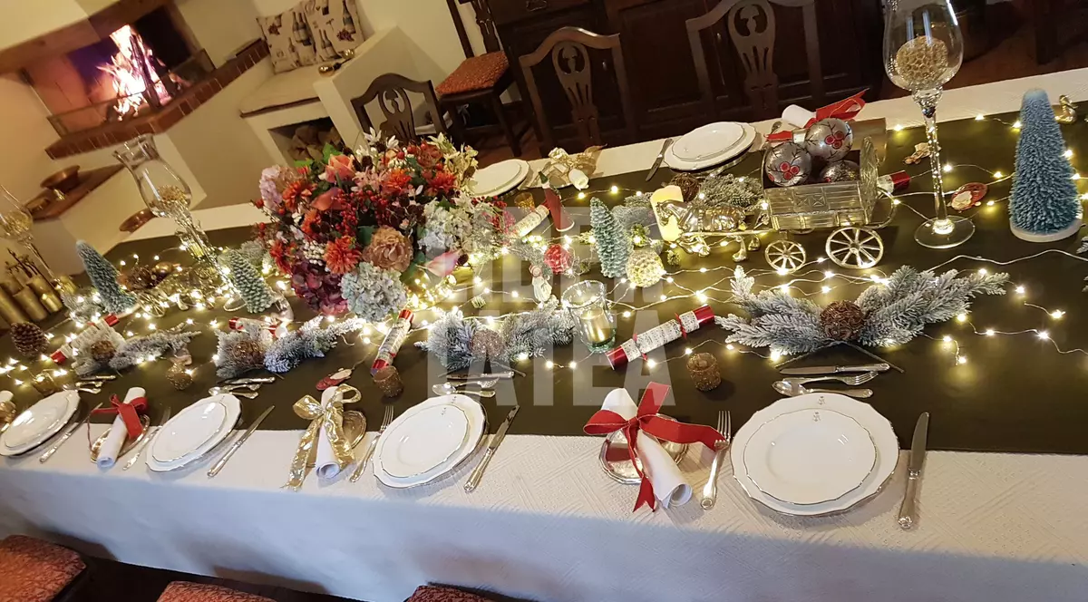 Ce mănâncă familia regală de Crăciun și cum arată bradul împodobit la castelul de la Săvârşin
