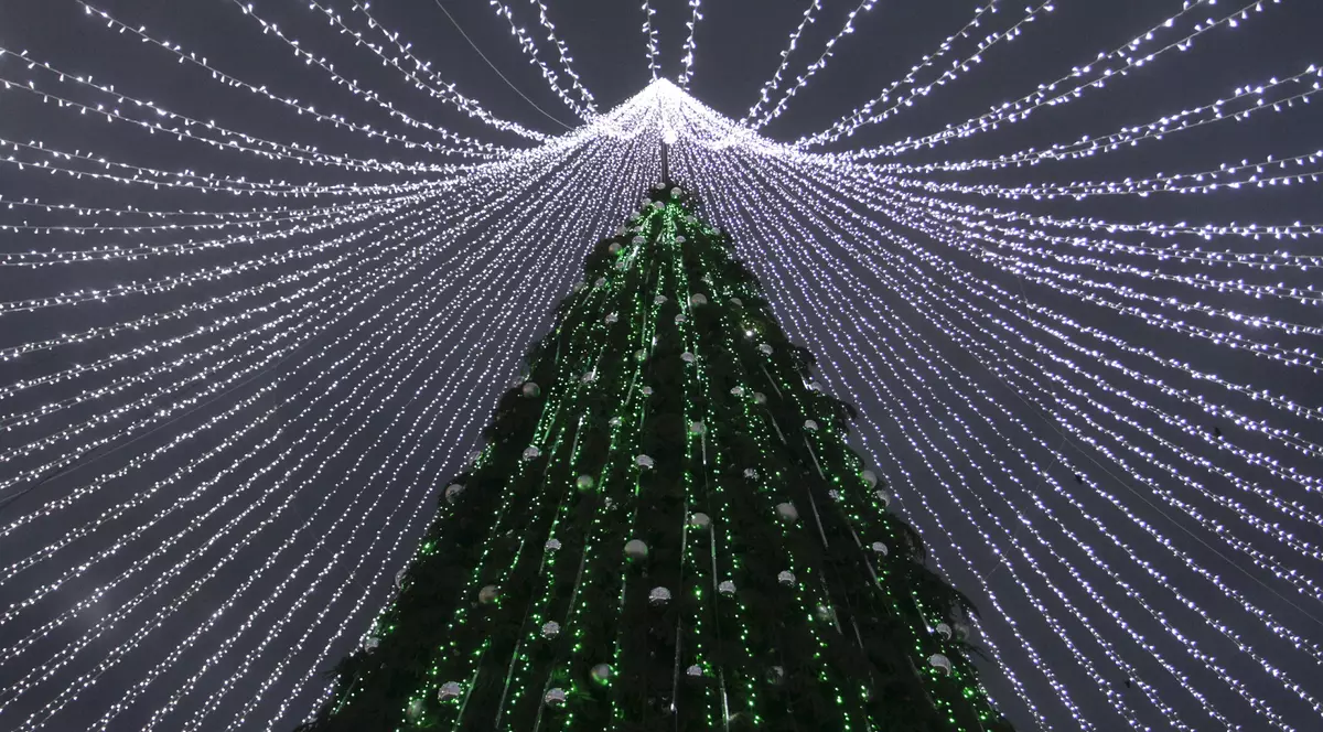 Bradul din Vilnius este cel mai frumos din lume