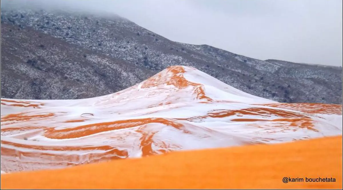 A nins in Sahara