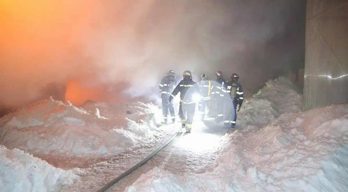 Foarte multe probleme, un profit extrem de mic și un incendiu care a ucis 11 animale. Circul Globus funcționează după legea junglei