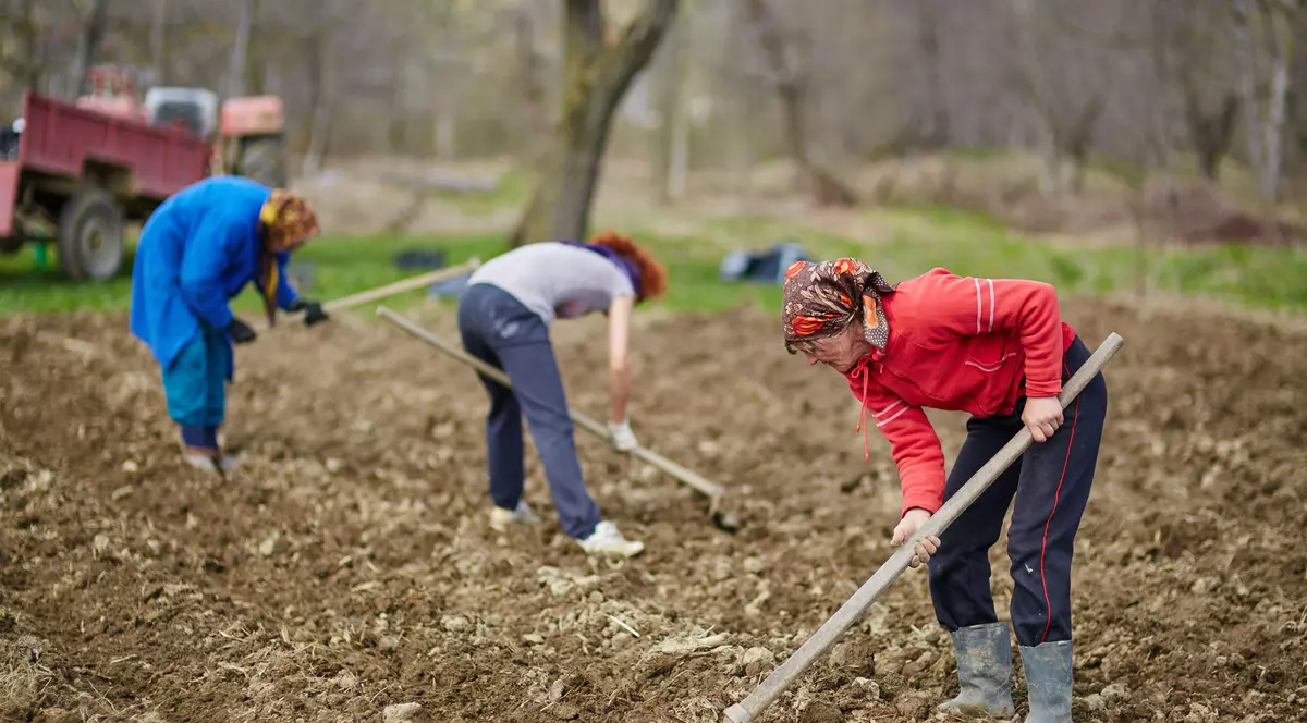 Cei care primesc ajutor social