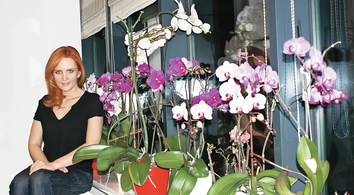 Ioana Maria Moldovan și-a făcut seră pe balcon