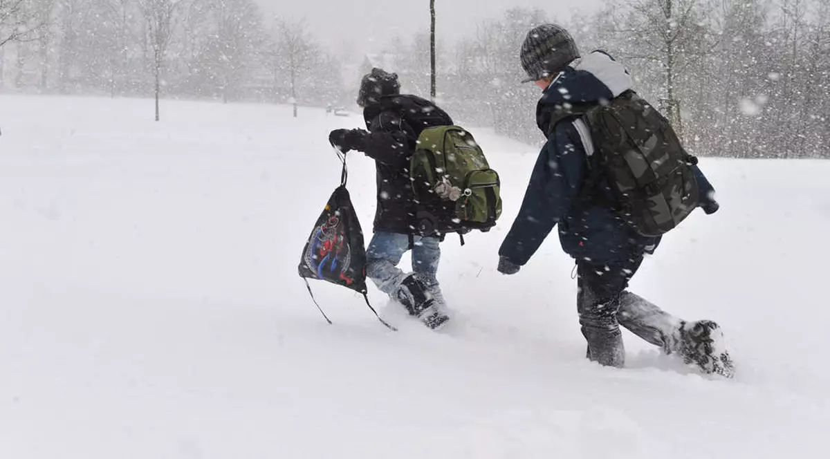 Școlile și grădinițele vor fi închise luni și marți, în București și Ilfov