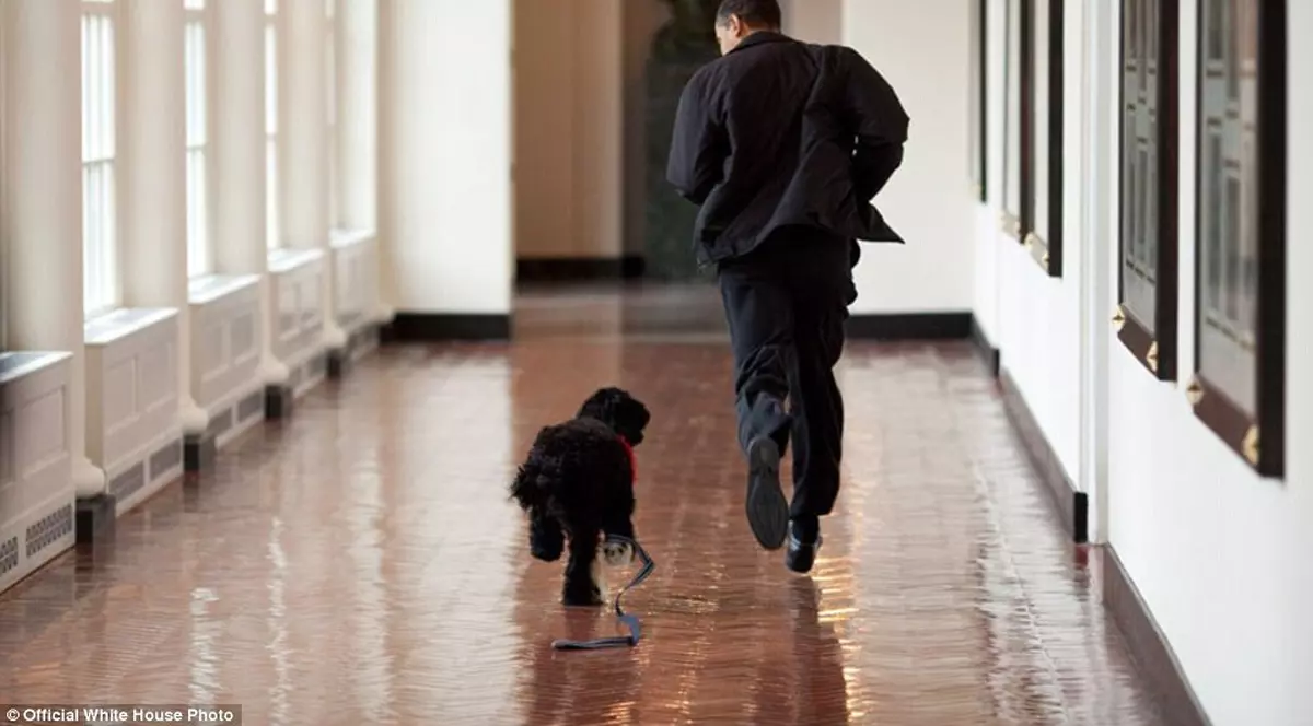 muscata de cainele familiei obama
