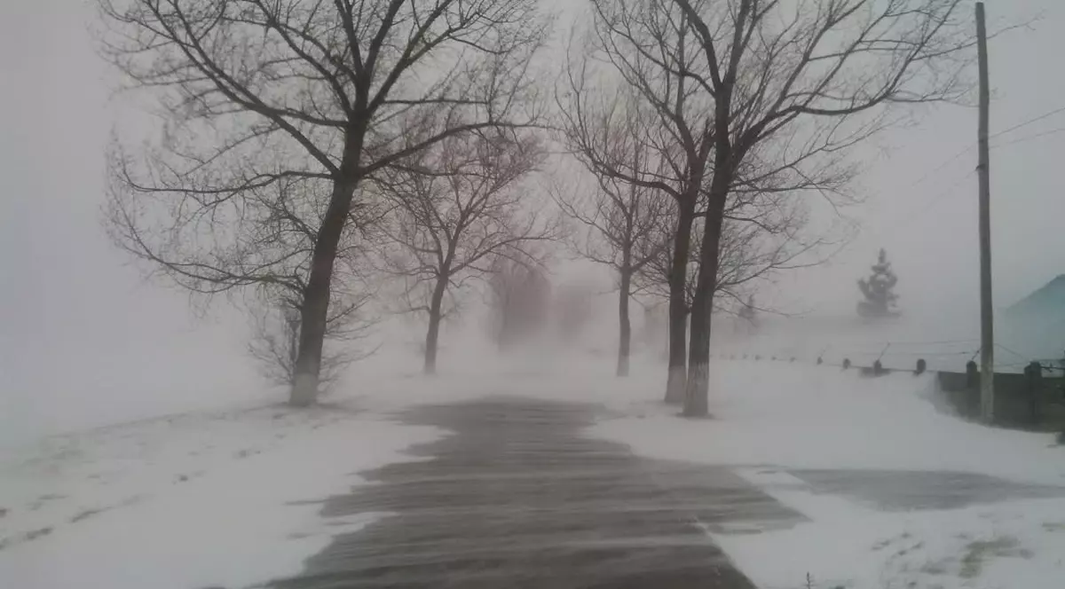 Cod galben de vânt şi ninsori în Brașov și alte șapte județe