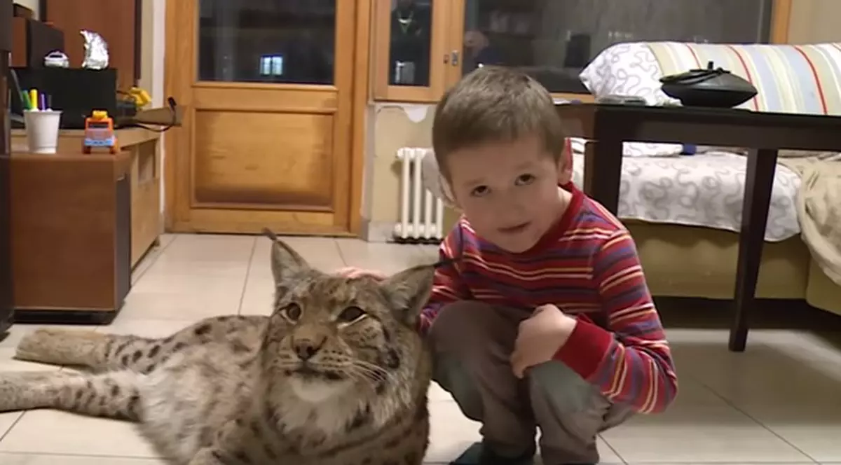 O familie din Moscova împarte apartamentul cu un râs | VIDEO