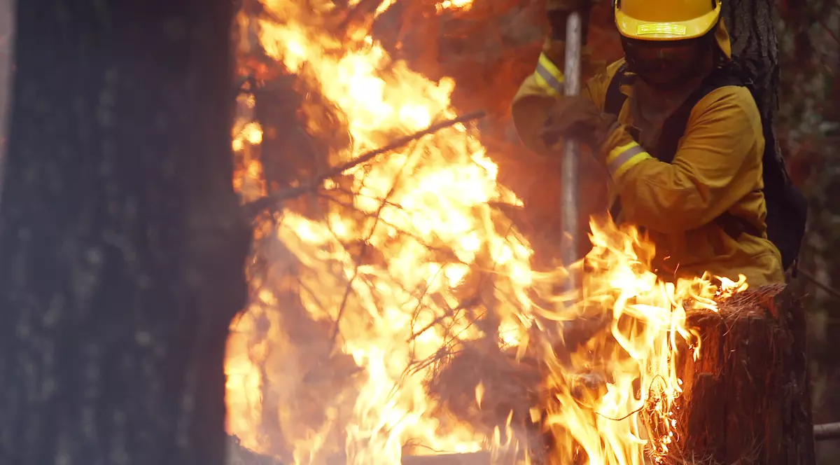 Stare de urgență în Florida, din cauza incendiilor de vegetație | VIDEO