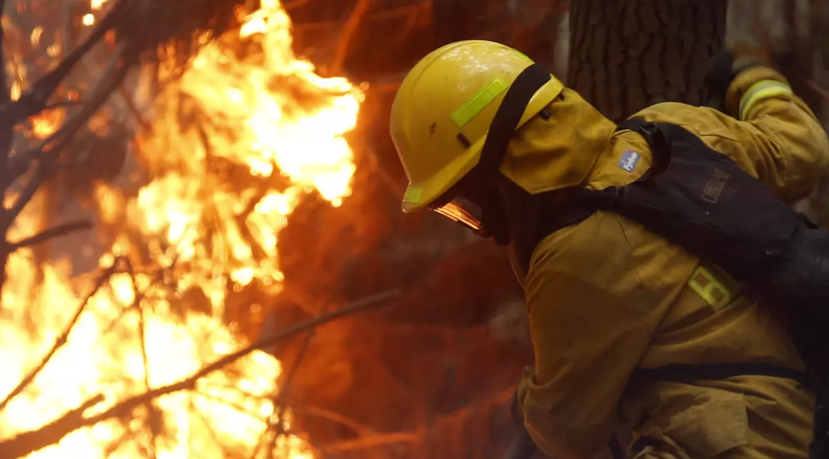 Chile se confruntă cu cele mai grave incendii din istorie. Cel puțin 11 morți