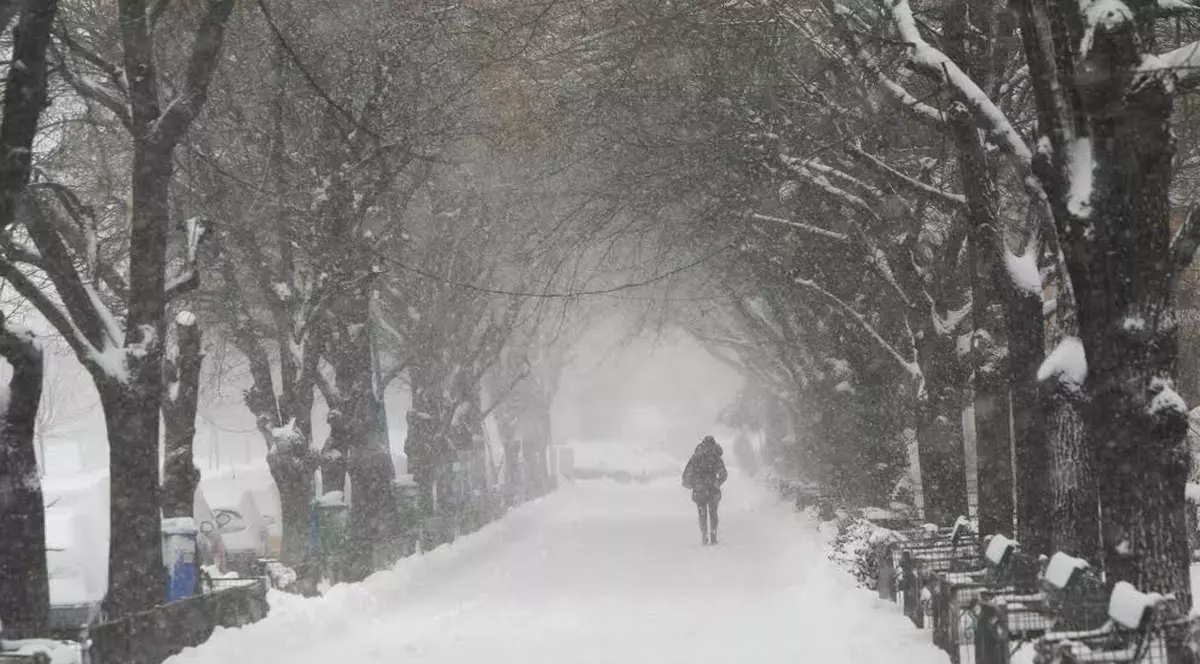 Ninsori și viscol anunțate până diseară