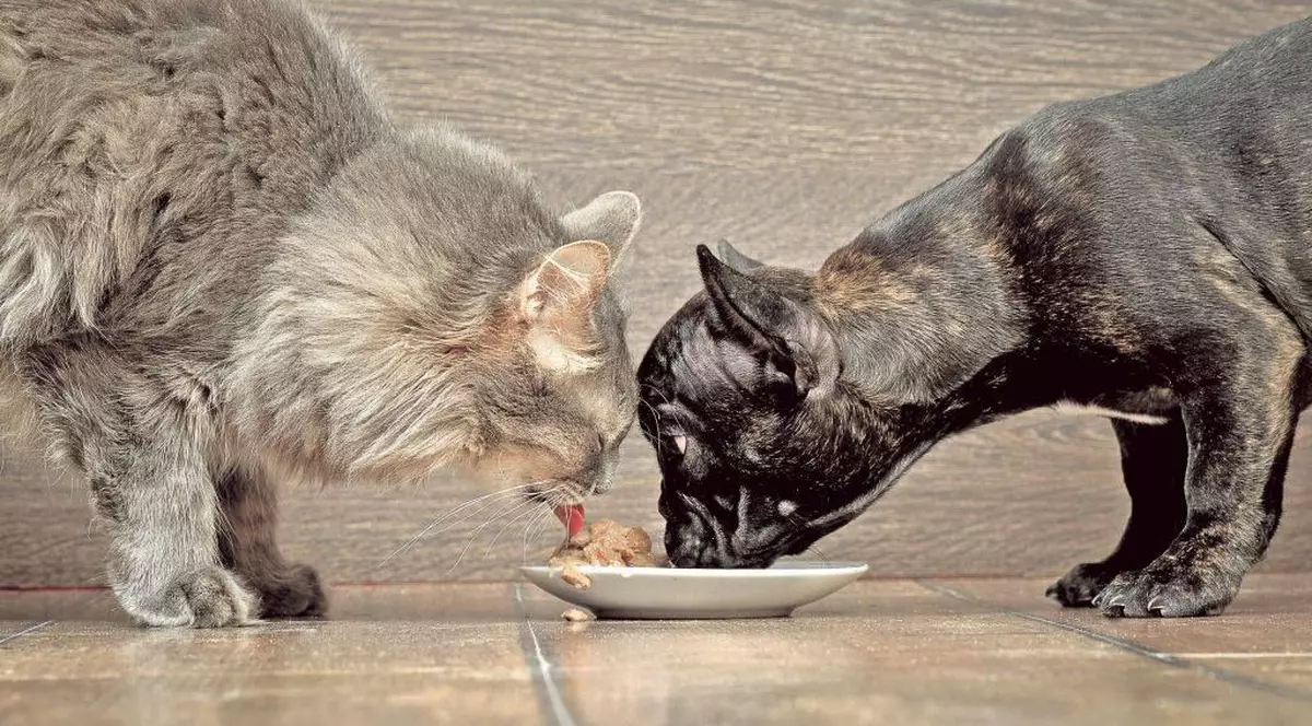 Poate nu știai, dar hrana făcută acasă e mai sănătoasă decât cea din comerț!