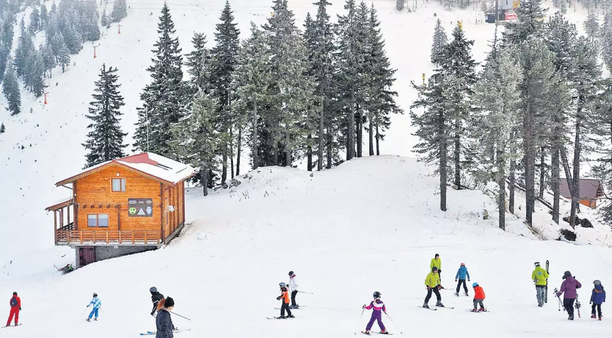 sporturile de iarnă