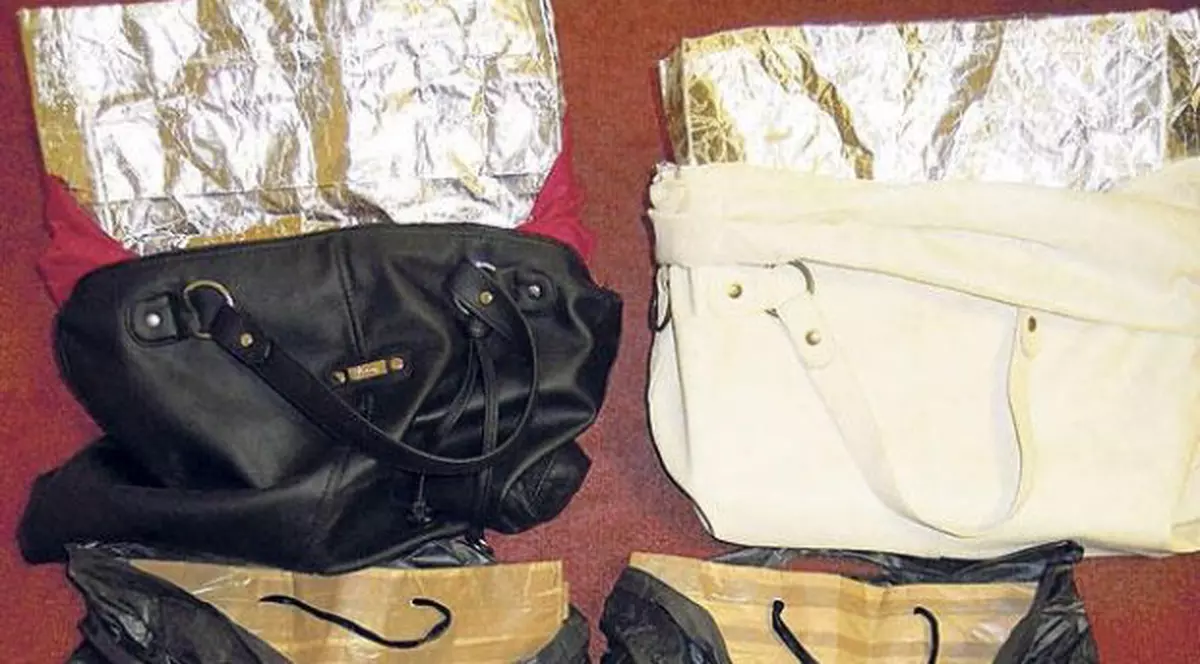 Hoții care prădau mall-uri sunt la beci