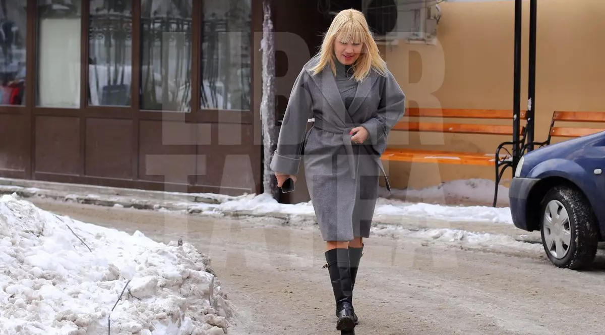 Dosarul Gala Bute. Elena Udrea și Rudel Obreja, în fața magistraților