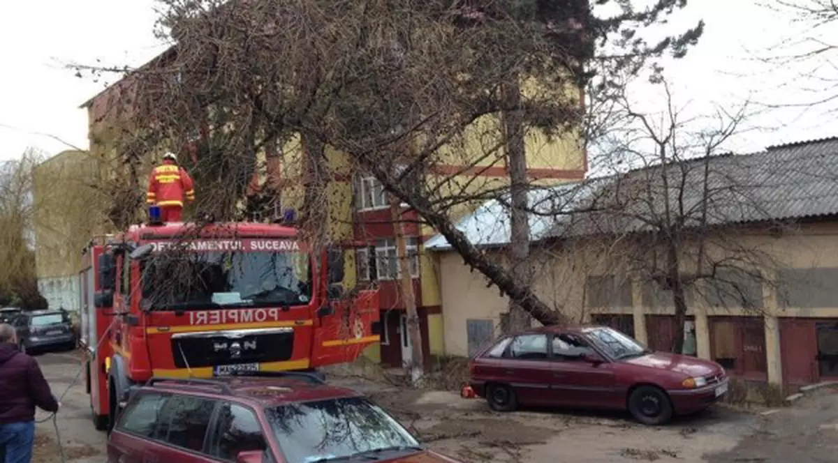 Vântul a făcut ravagii în Suceava. Copaci căzuți peste mașini, acoperișul unui bloc smuls FOTO