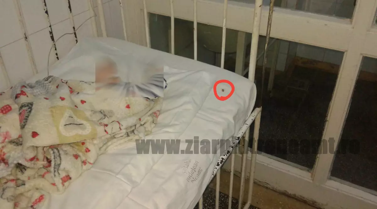 Gândaci în secția de Pediatrie a Spitalului Județean Neamț