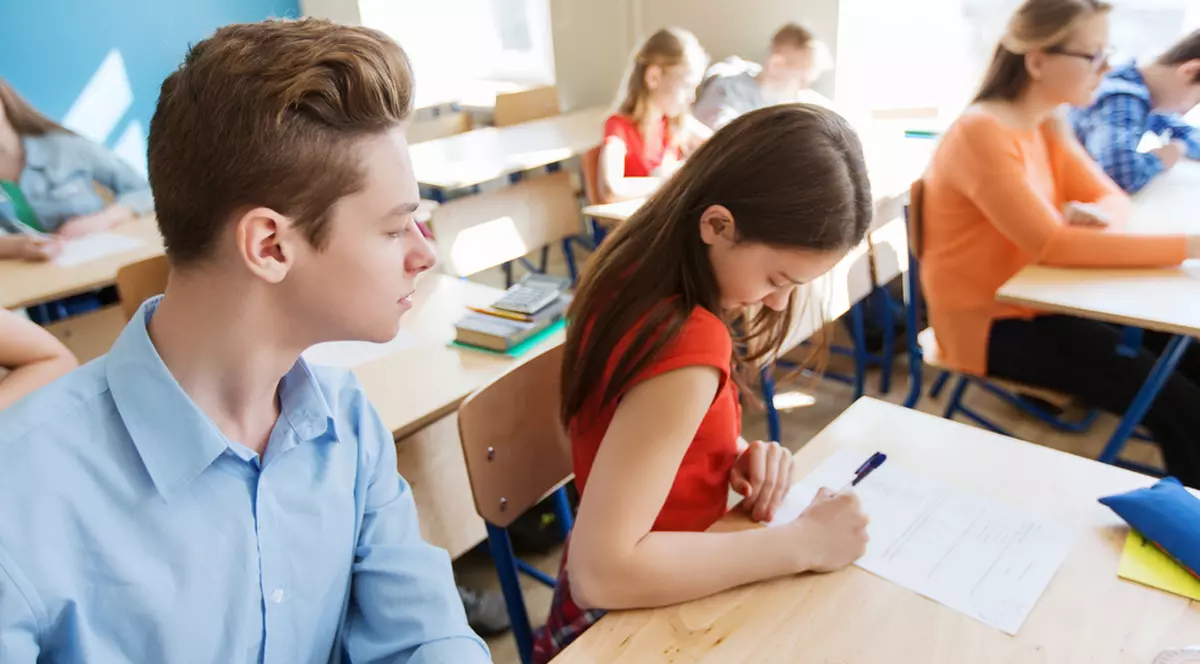 Evaluarea Națională 2017 - sesiunea specială. Subiectele și baremul la Limba română