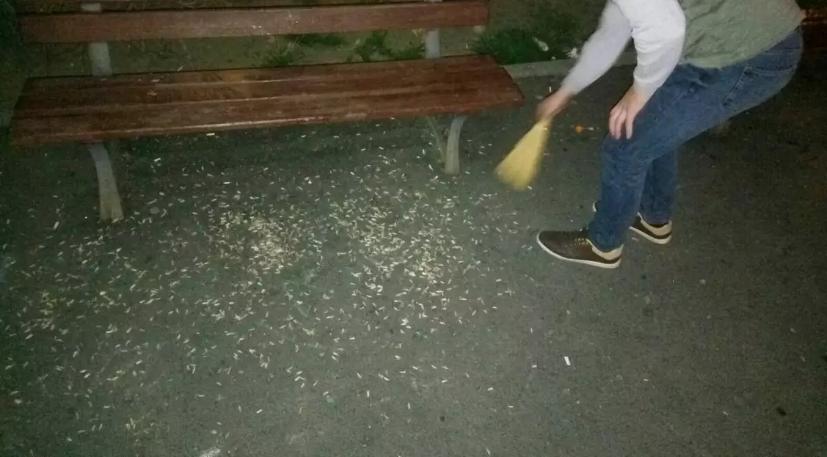 Amendă de câteva sute de lei sau cinci minute la coada măturii?