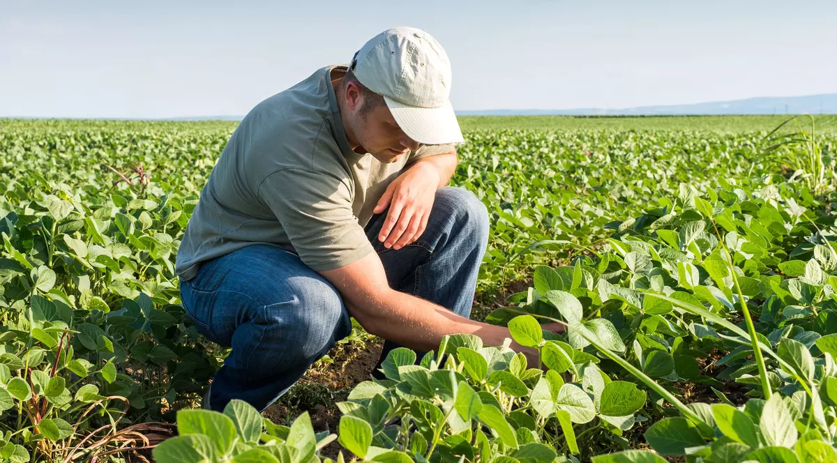 dacă-i faci cadastrul
