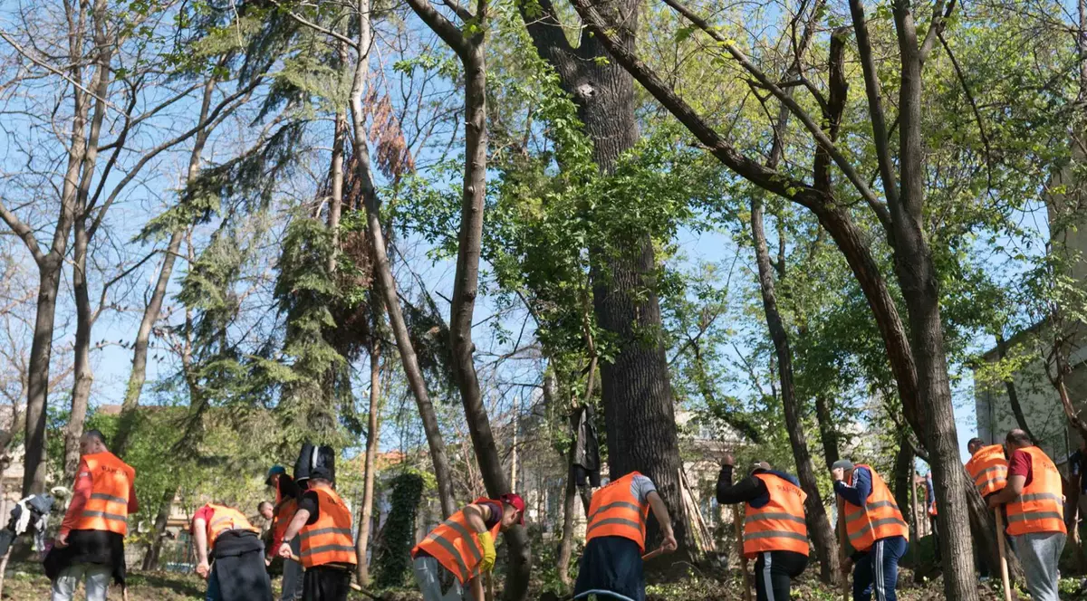 UPDATE: 50 de detinuţi fac curăţenia de primăvară  în parcurile Cişmigiu, Tineretului şi Herăstrău