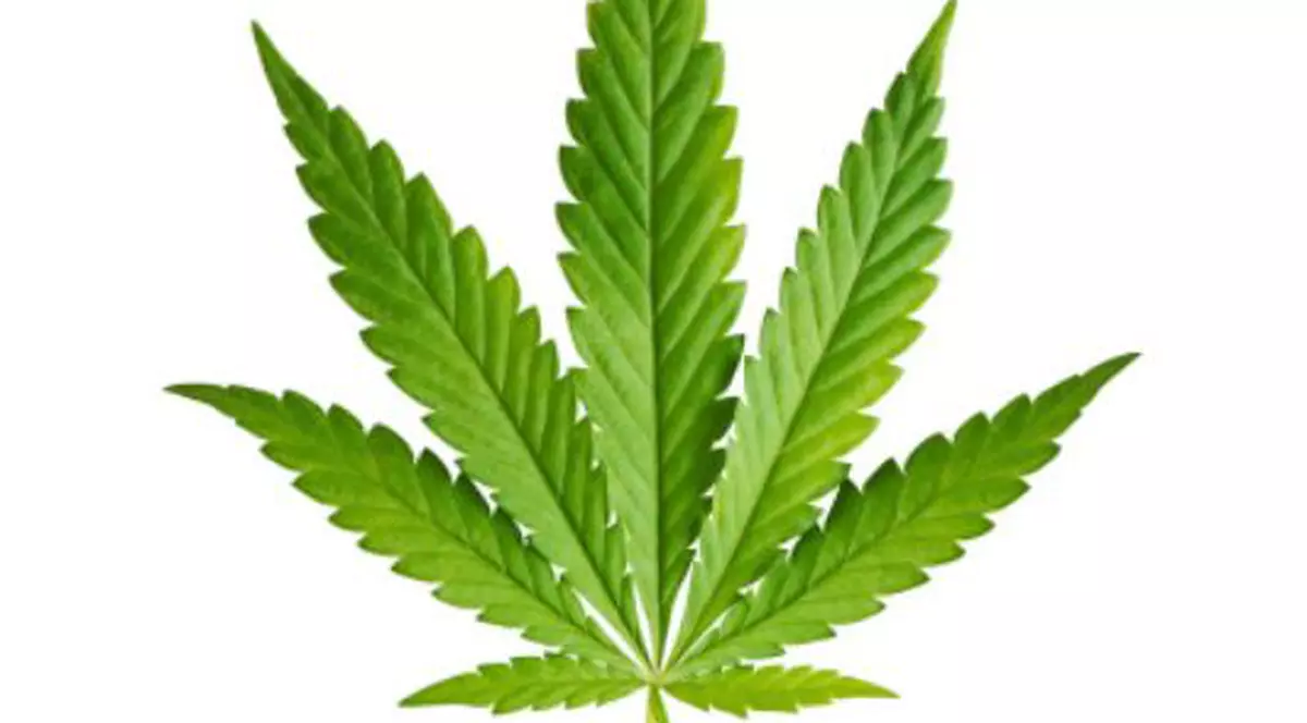 Un sucevean a fost prins în trafic cu un kilogram de cannabis