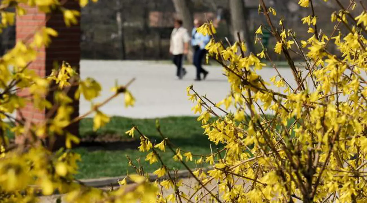 Meteo. Urmează zile de vară! Cum va fi vremea în weekend-ul dinainte de 1 Mai
