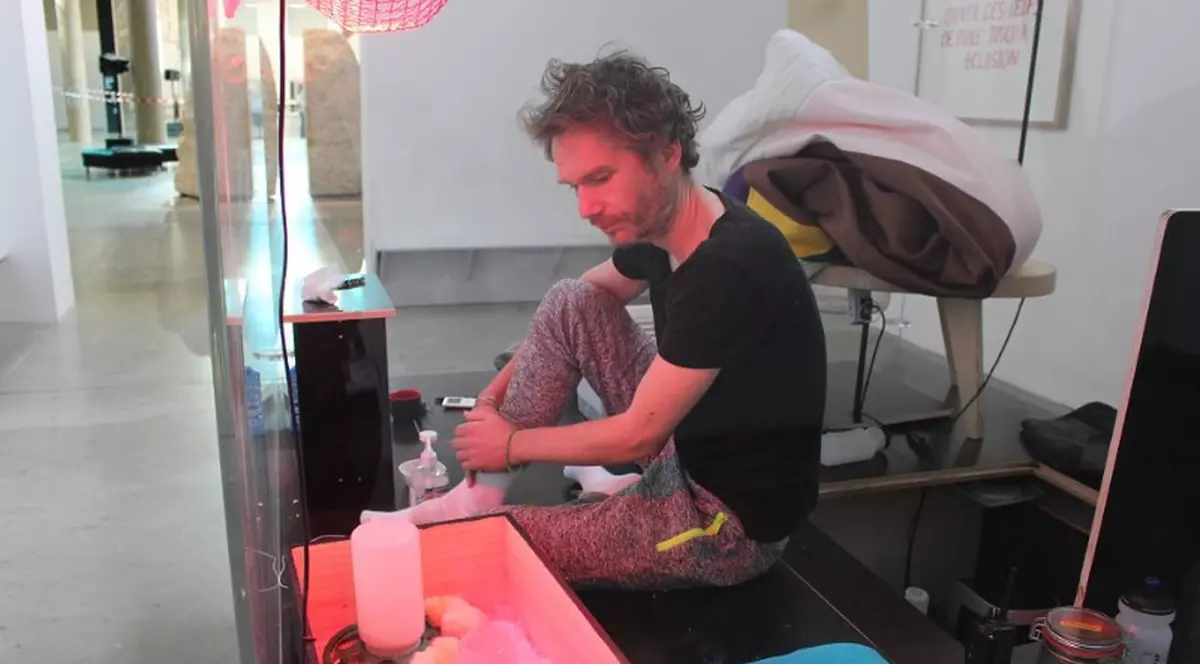 Artistul francez care a “clocit” zece ouă a părăsit incubatorul cu nouă pui de găină