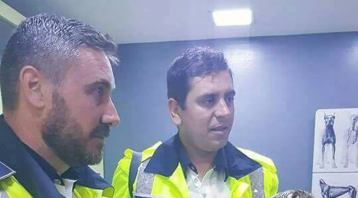 Bufniță rănită, salvată de polițiști pe Autostrada Soarelui