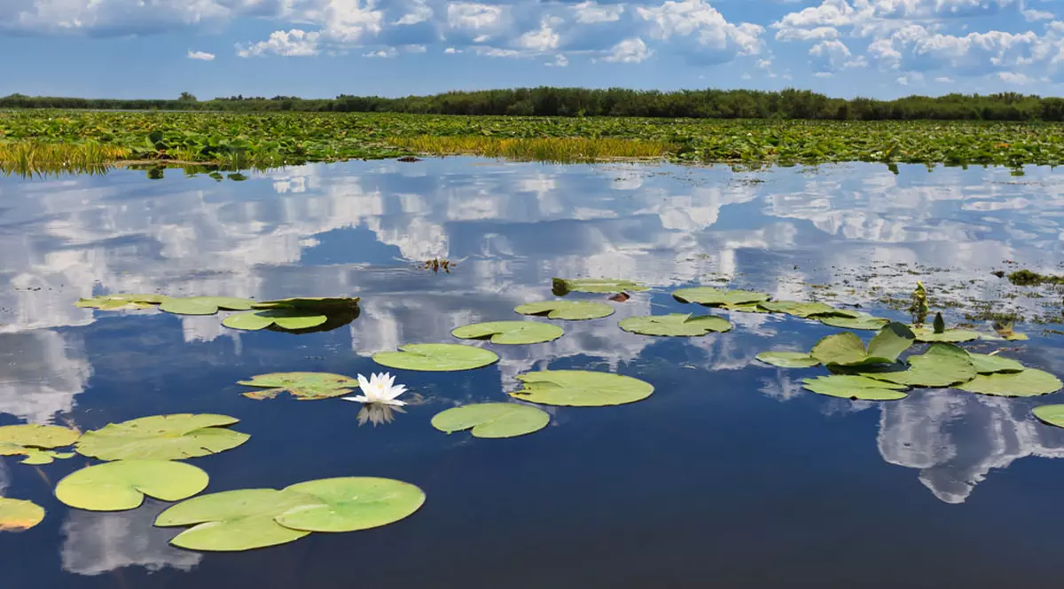 (P) Cele mai bune tarife la vacanțele în Delta Dunării!