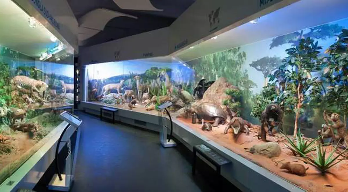 Noaptea Muzeelor 2017 – Programul complet din București