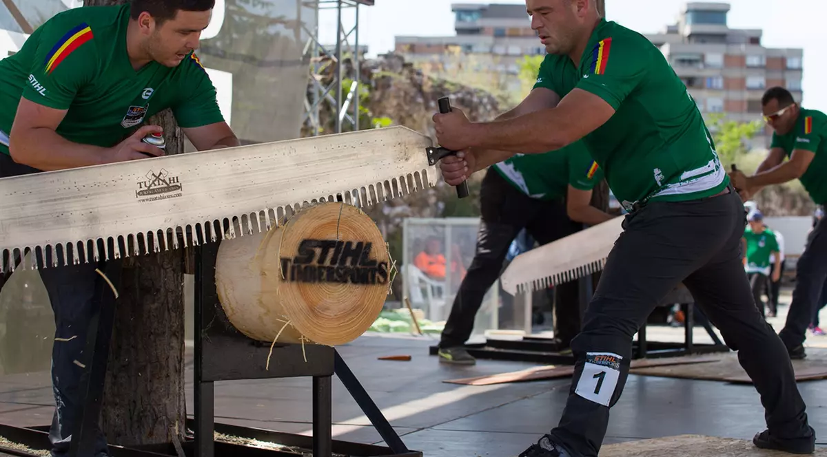 Dan Petrescu e campion național la tăiat lemne pe 2017