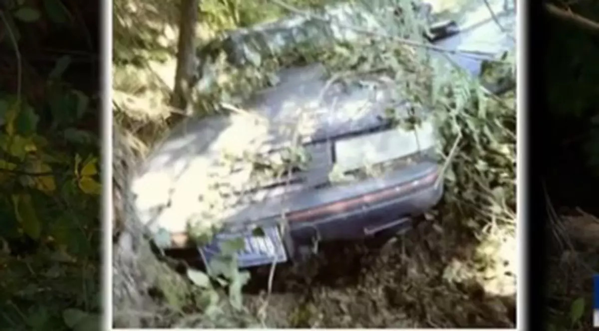 O femeie în vârstă de 70 de ani a supraviețuit cinci zile în mașină, după ce s-a răsturnat într-o râpă