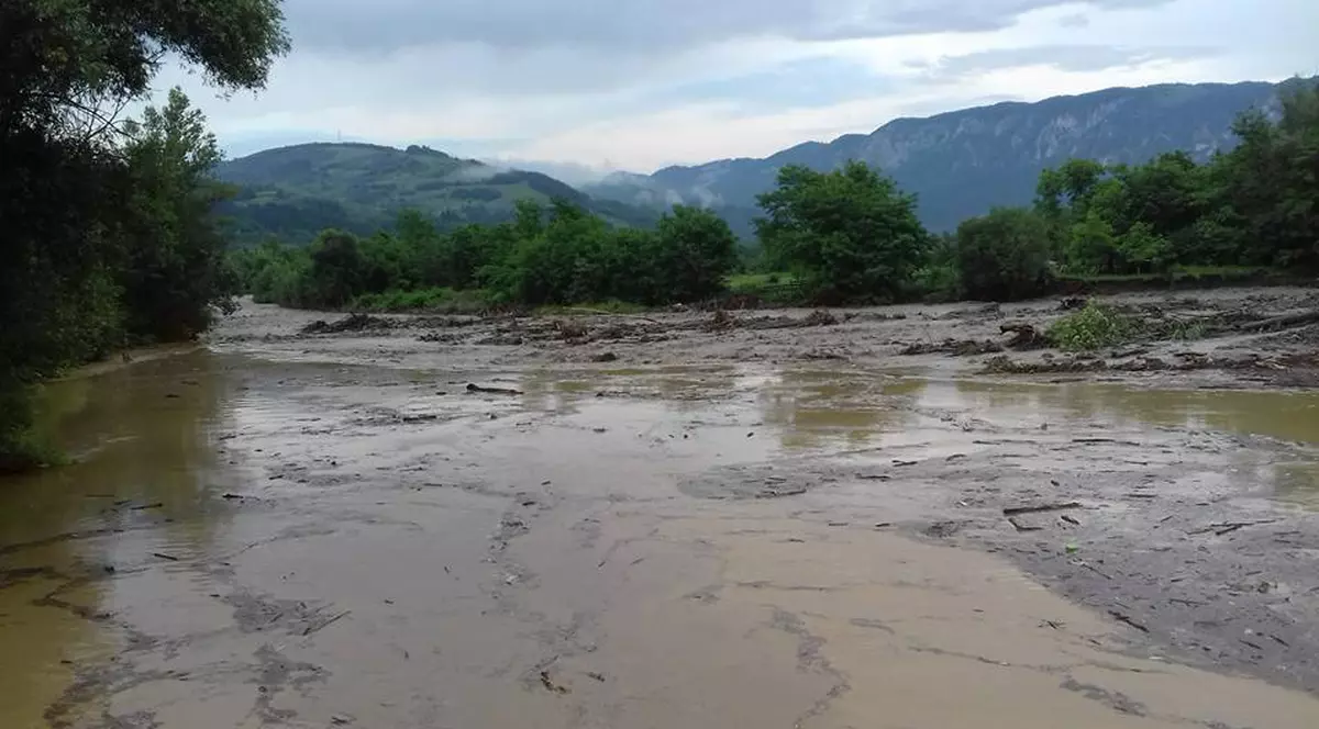 cod galben inundatii