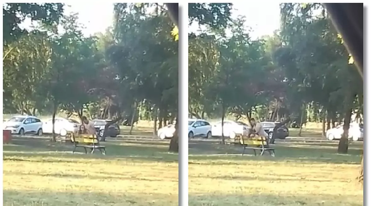 au făcut dragoste într-un parc din Timișoara