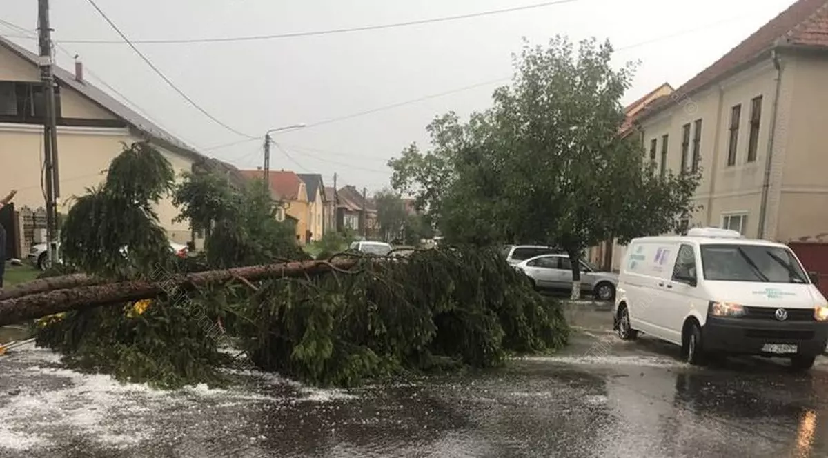 Inundații în Bistrița