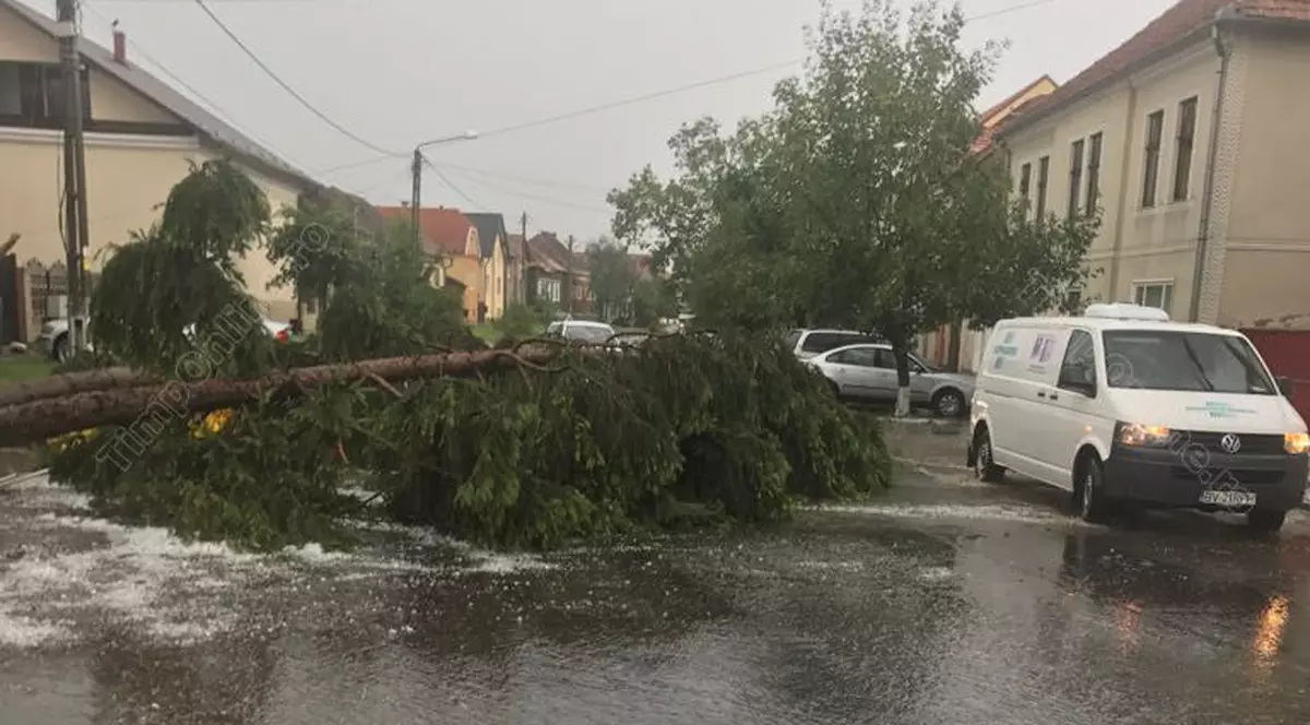 grindină și vijelii