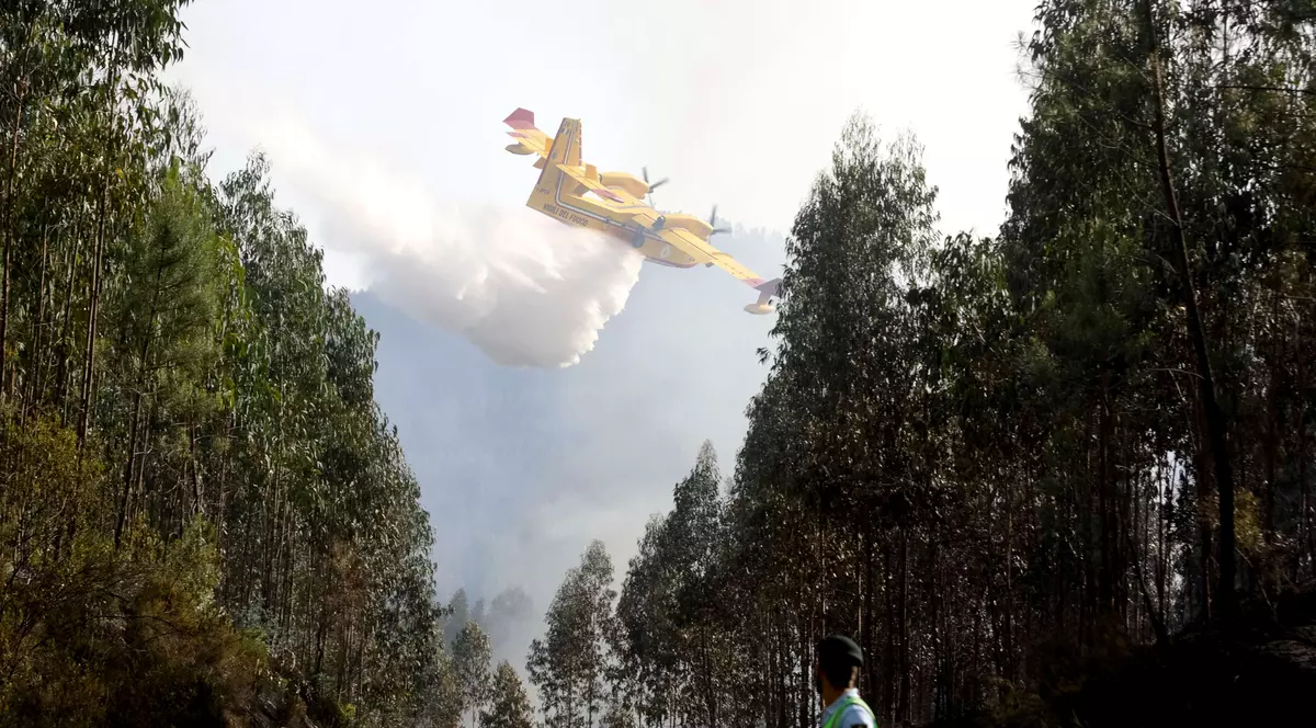 Incendii în Portugalia | Un avion folosit la stingerea incendiilor s-a prăbușit